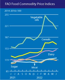 chart of food commodity price index