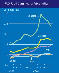 chart of food commodity price index