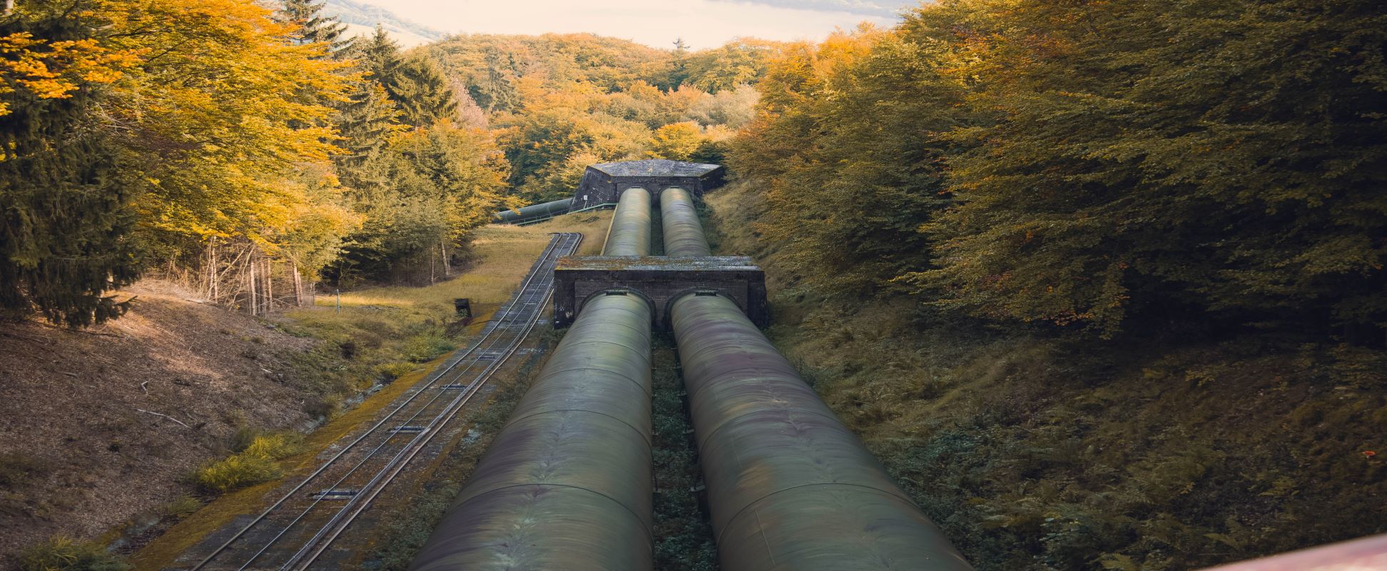 gas pipeline runs through forest next to train tracks
