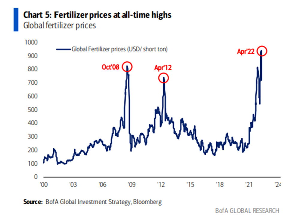chart showing growth of fertilizer prices