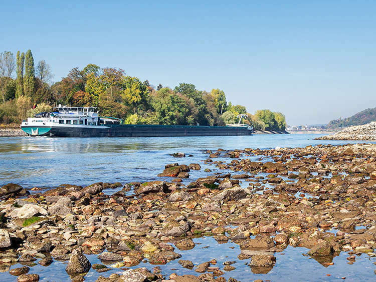 rhine river low water levels