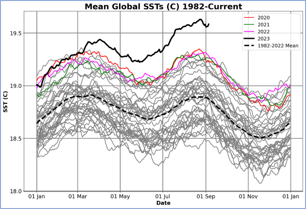 chart showing rising global ocean temperatures since 1982 until present day