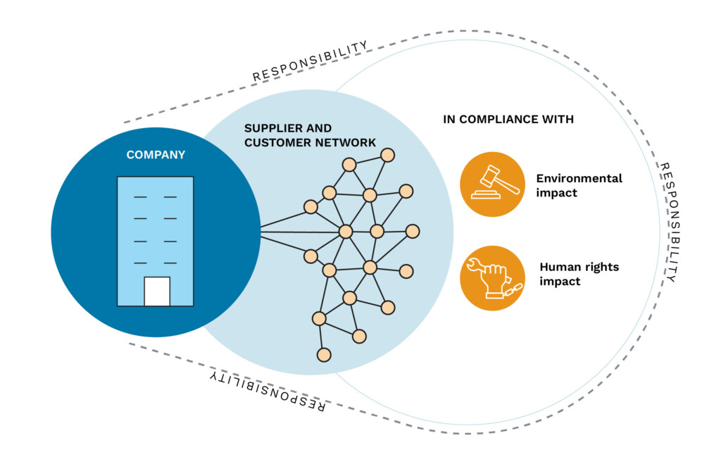 infographic showing how extensively EU CSDDD regulations make companies responsible for compliance