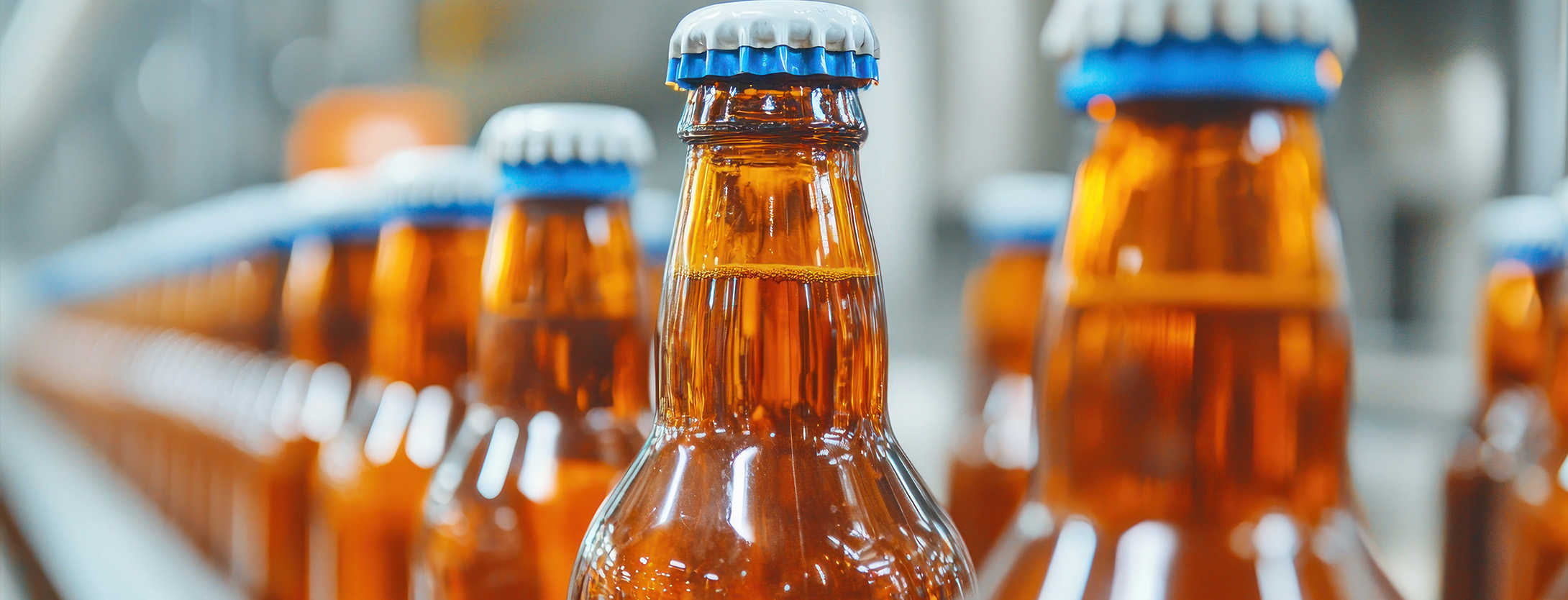 Procurement Excellence: Lessons from Molson Coors