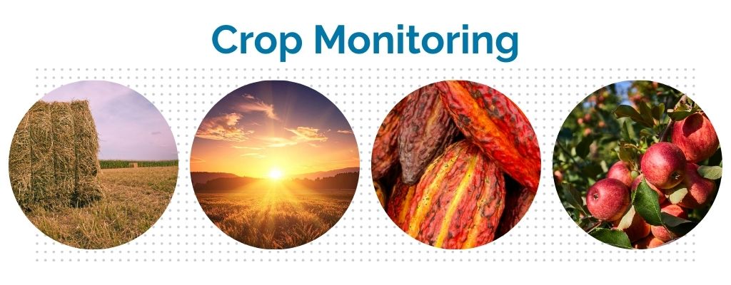 graphic showing the monitoring of crop quality and yield