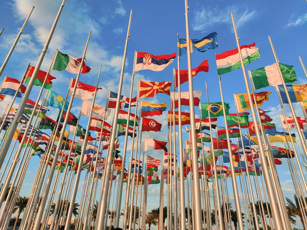 Supply Chain Risks and the Strategic Use of Trade Regulations