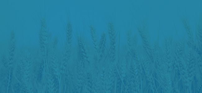 Everstream Analytics Applied Meteorology