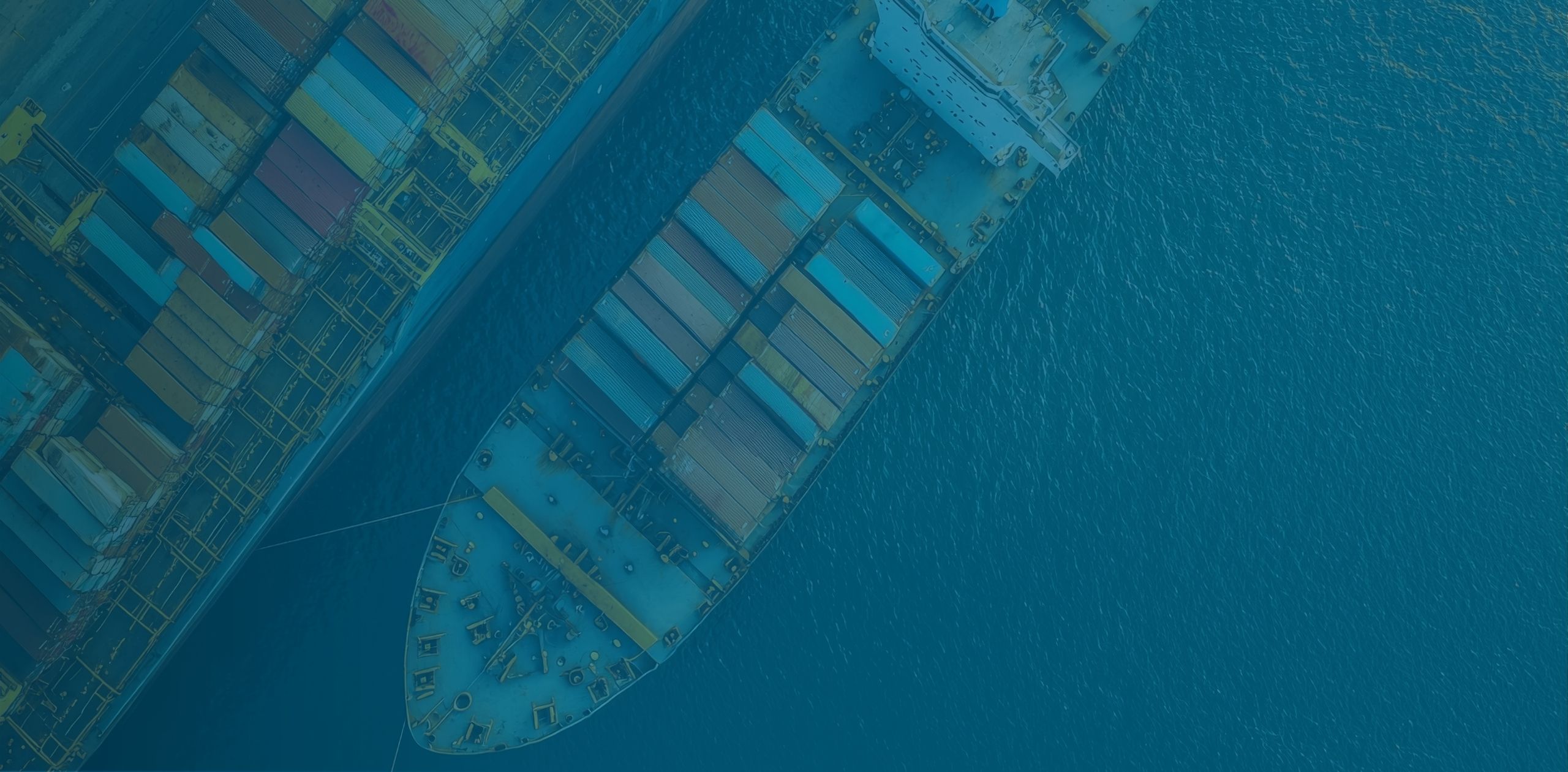 Everstream Analytics Risk Insights